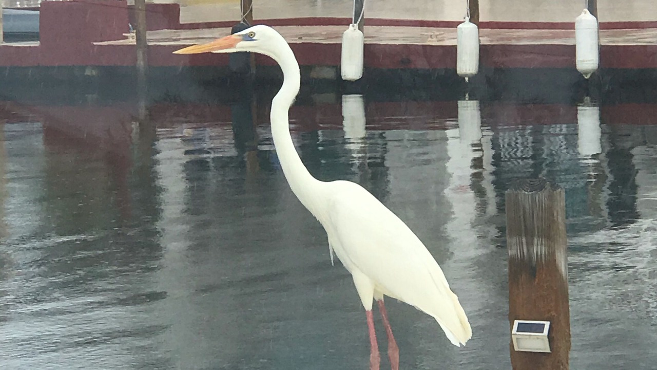 Photo of Outdoor in Pirates Cove