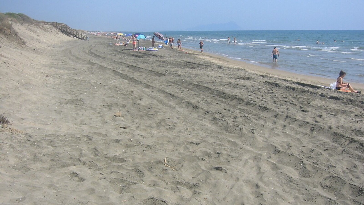 Photo of Others in Cori