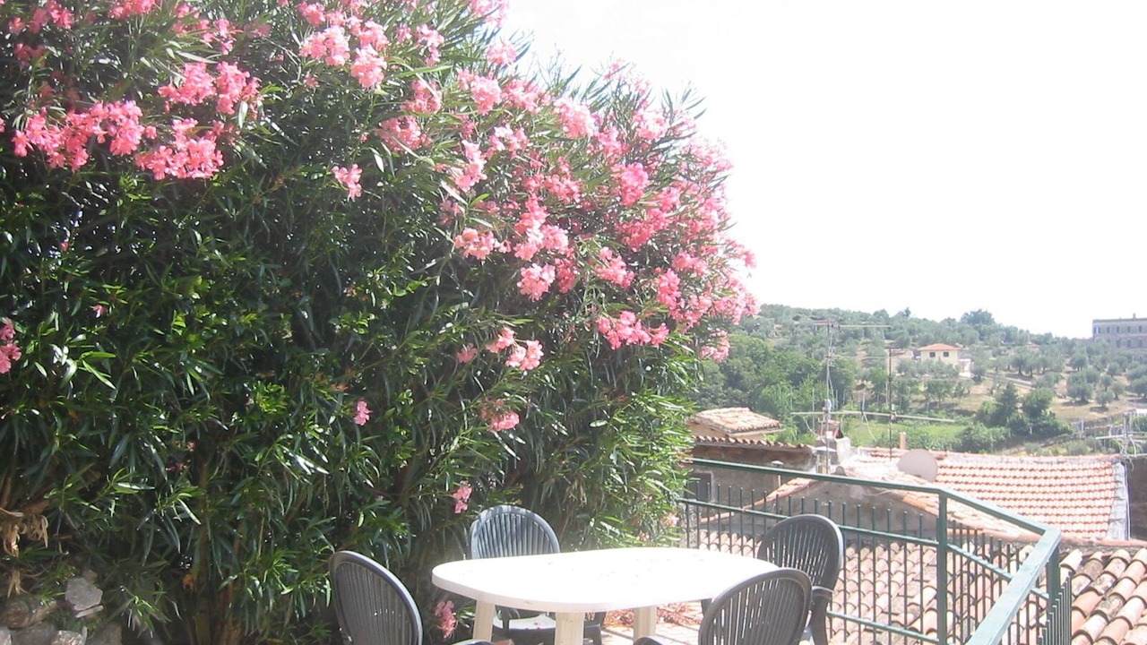 Photo of Outdoor in Cori