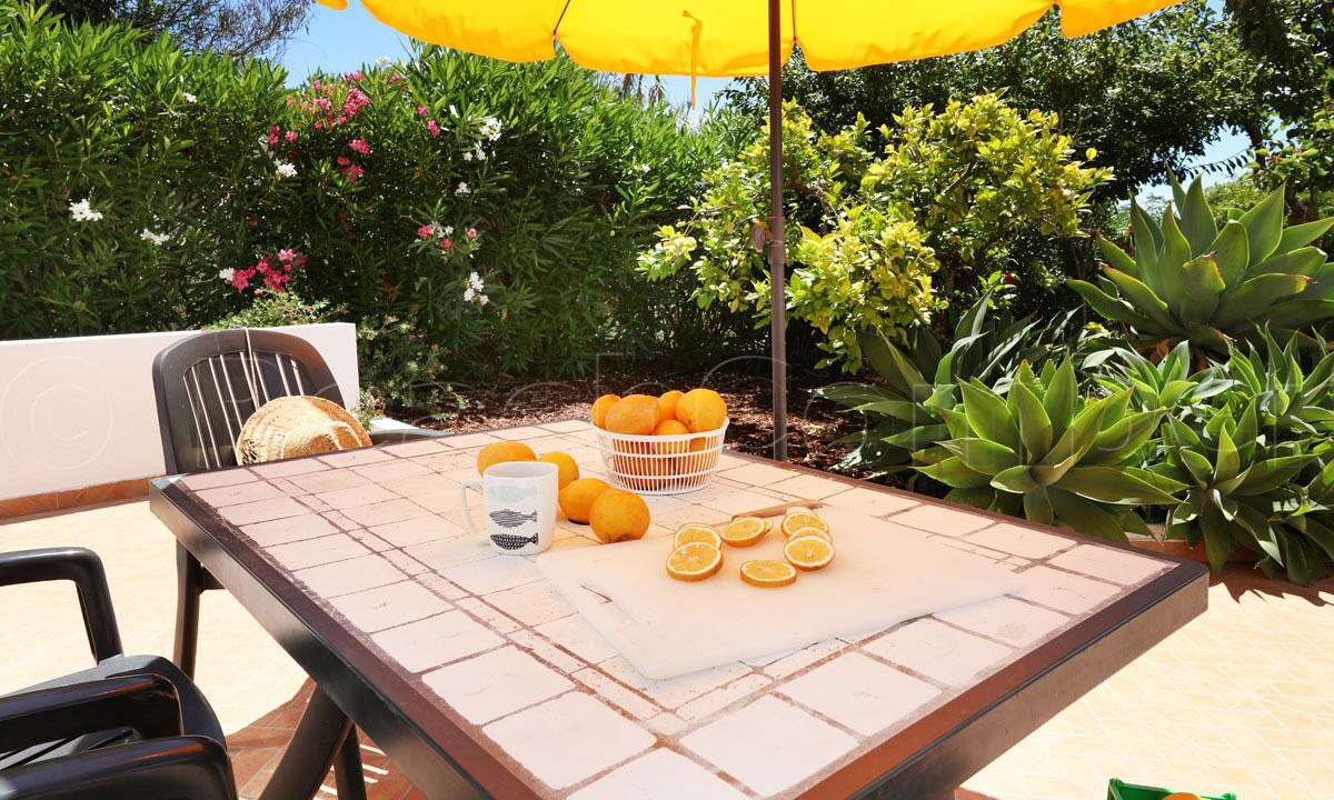 Photo of Outdoor in Calicas