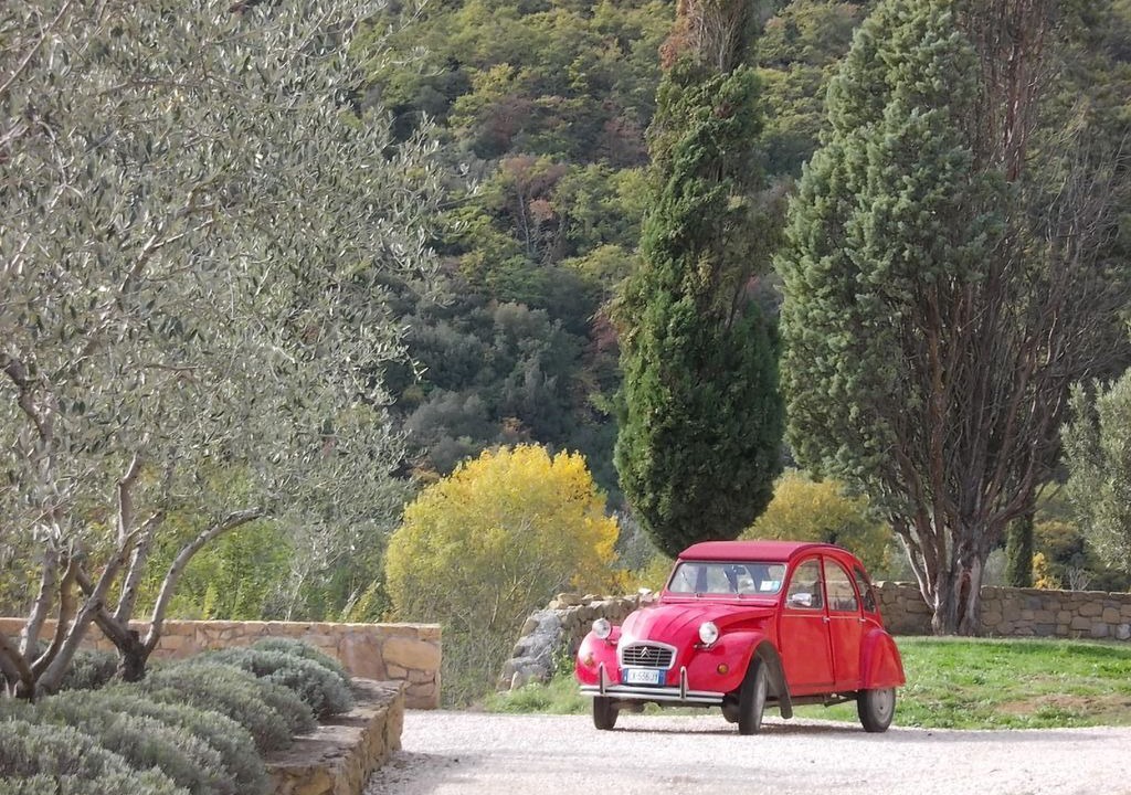 Photo of Others in Marsciano