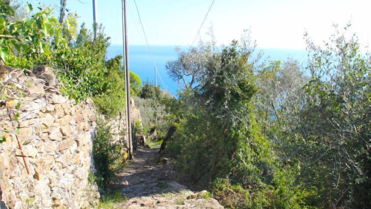 Photo of Others in Zoagli