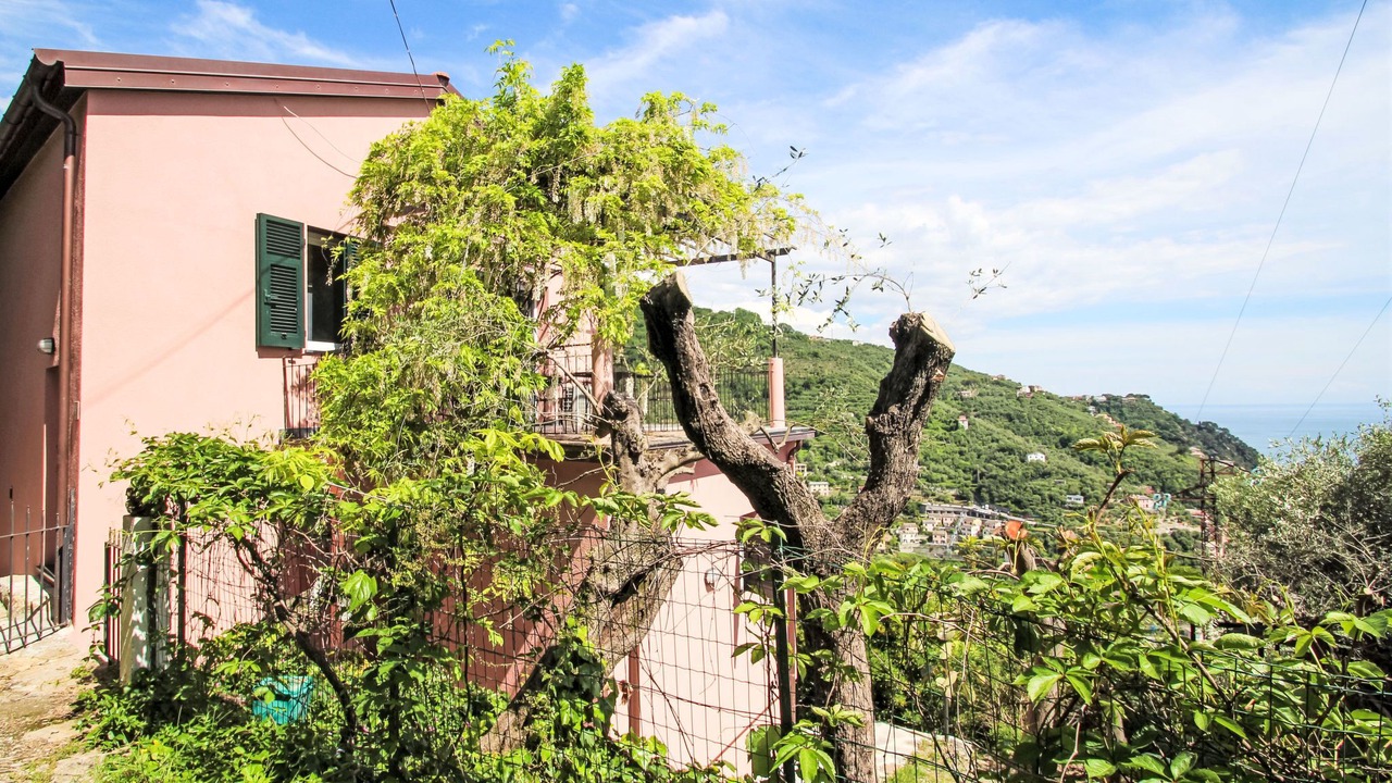 Photo of Others in Zoagli