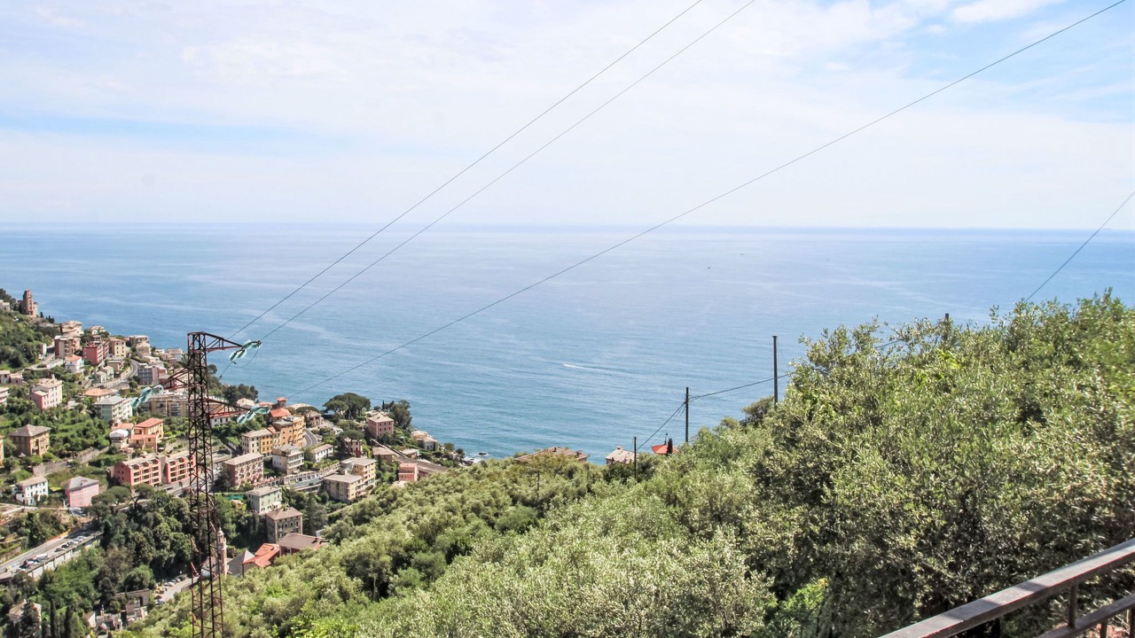 Photo of Others in Zoagli
