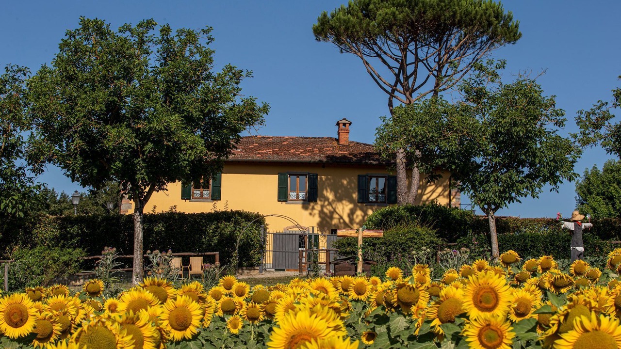 Photo of Outdoor in Porrena