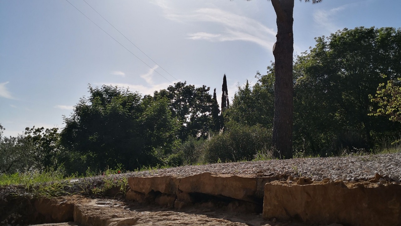 Photo of Outdoor in Casale Marittimo
