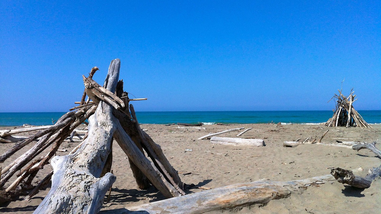 Photo of Others in Marina di Grosseto