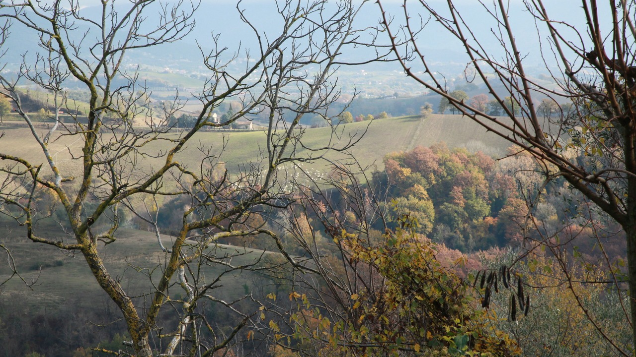 Photo of Outdoor in Magliano Sabina