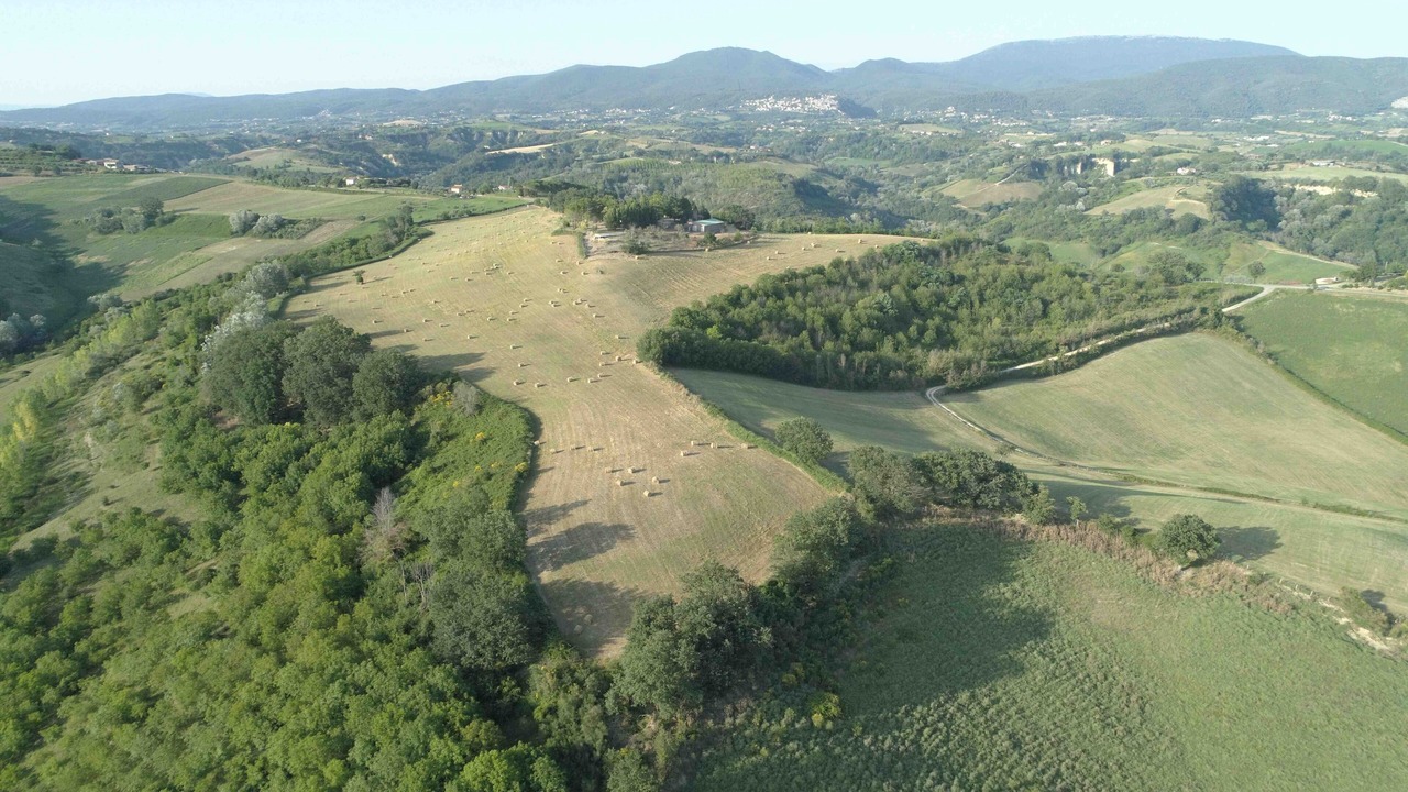 Photo of Others in Magliano Sabina