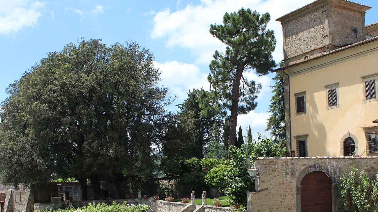 Photo of Outdoor in Radda in Chianti