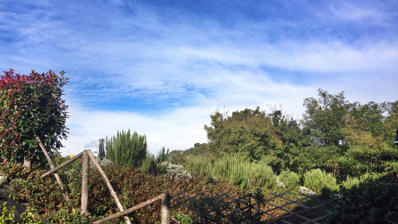 Photo of Outdoor in Montone