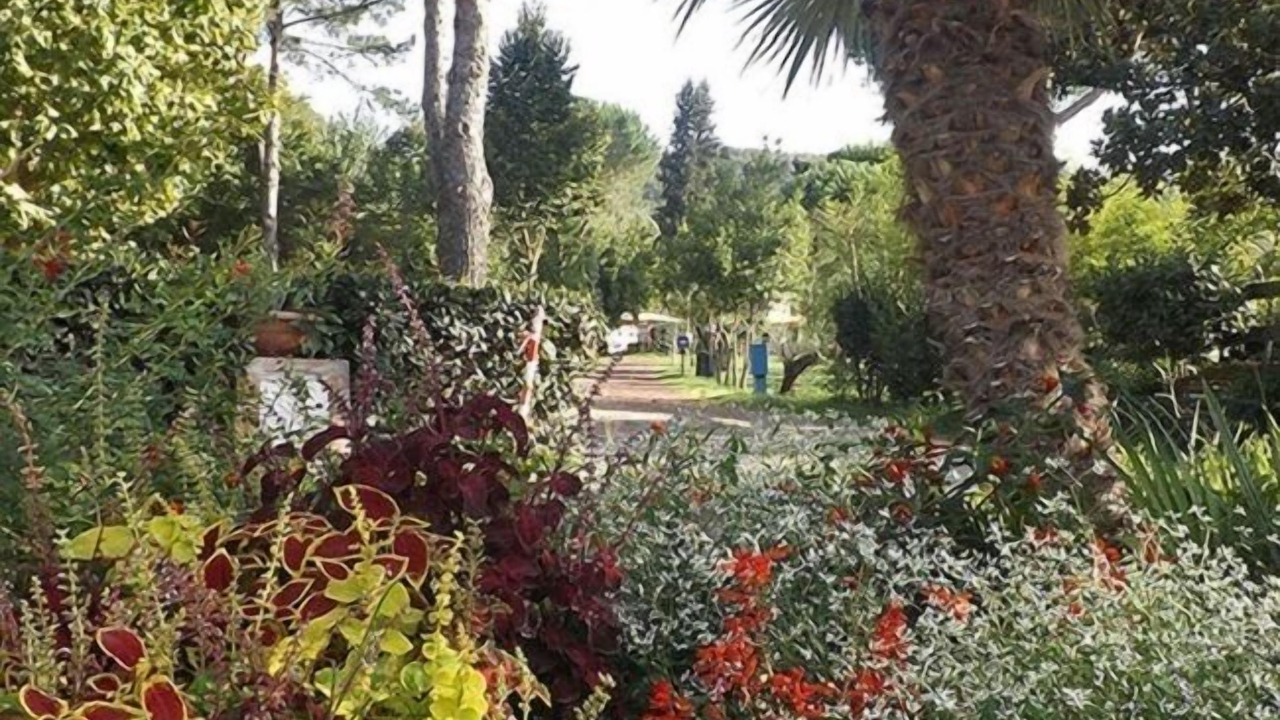 Photo of Outdoor in Montefiascone