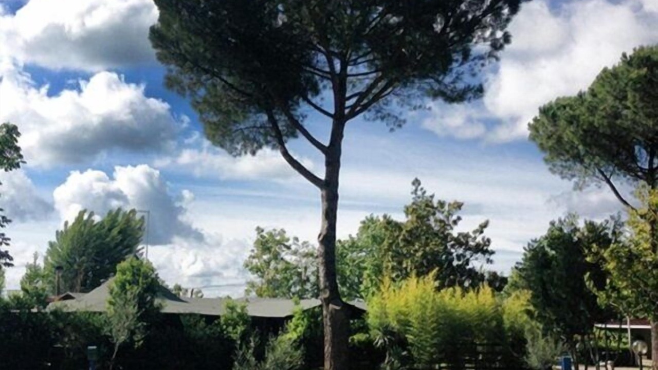 Photo of Outdoor in Montefiascone