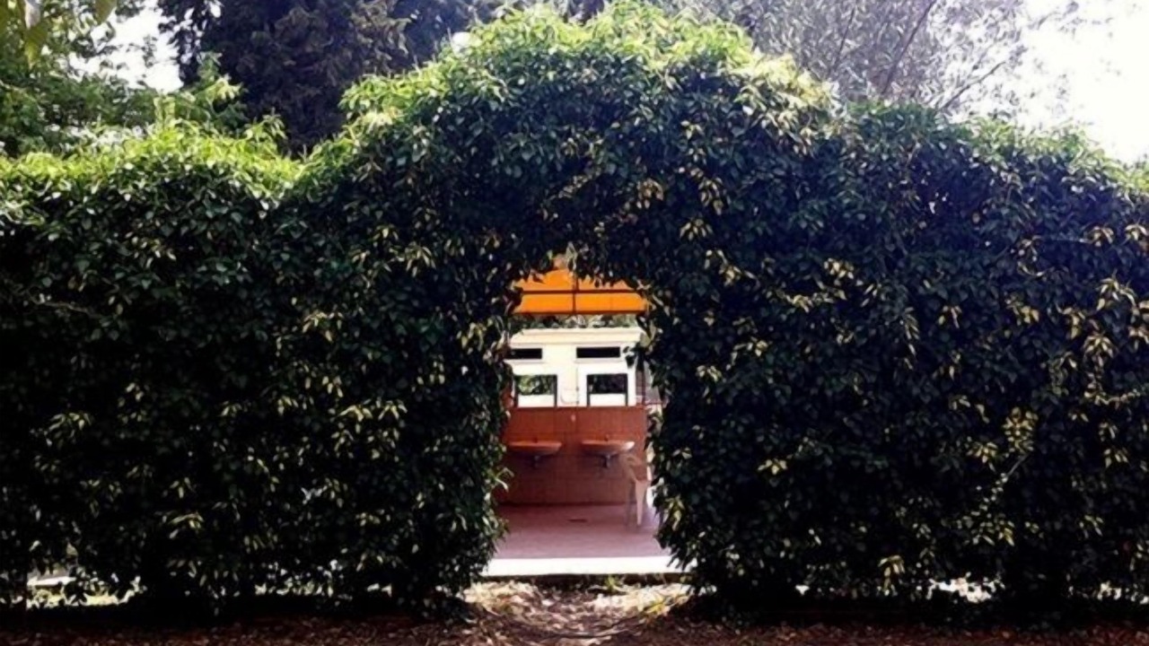 Photo of Outdoor in Montefiascone