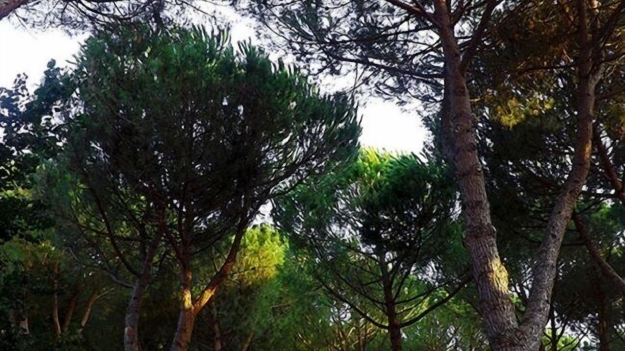 Photo of Outdoor in Montefiascone
