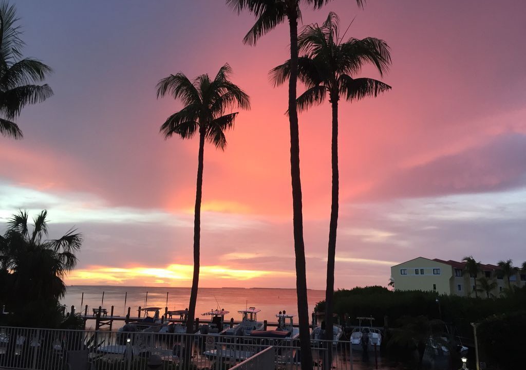 Photo of Others in Islamorada