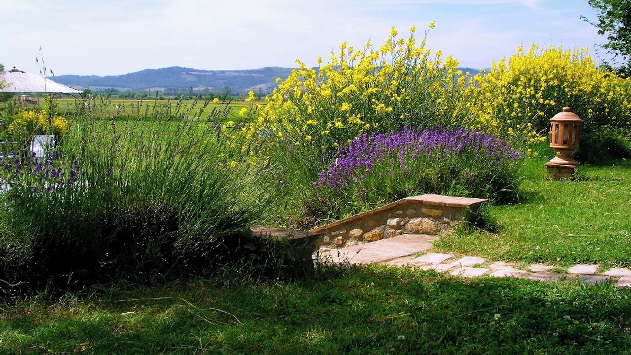 Photo of Outdoor in Monteleone d'Orvieto