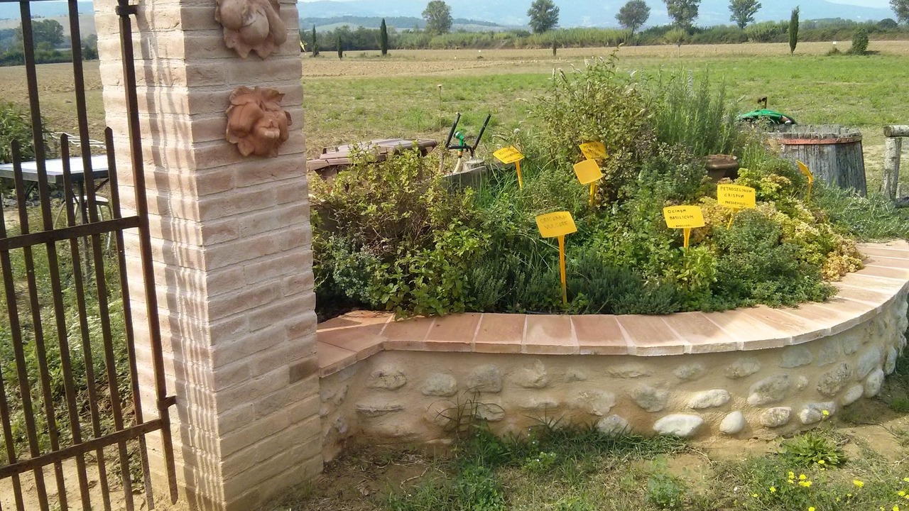 Photo of Outdoor in Monteleone d'Orvieto