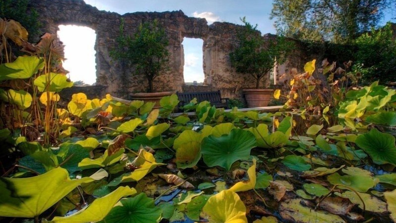 Photo of Outdoor in Cori