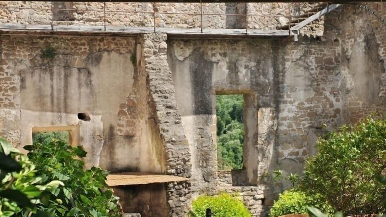 Photo of Outdoor in Cori