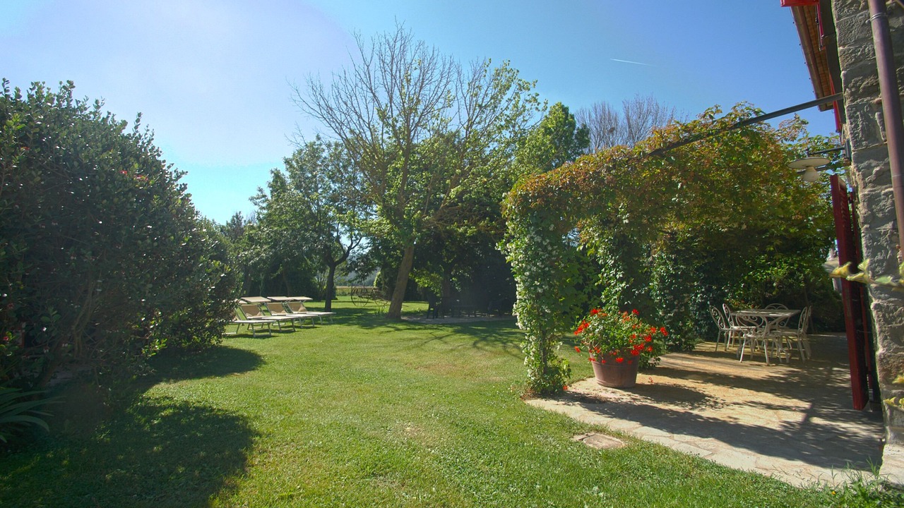 Photo of Outdoor in Montalla