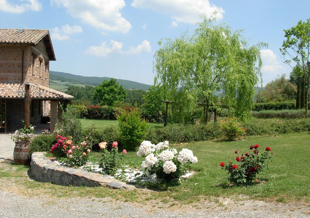 Photo of Buildings in Acquapendente