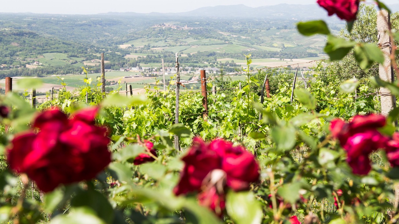 Photo of Outdoor in Acquapendente