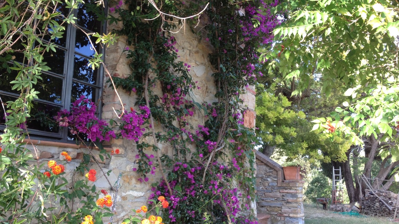 Photo of Outdoor in Sassetta