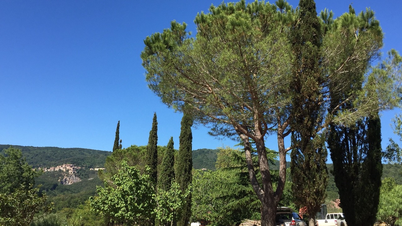 Photo of Others in Sassetta