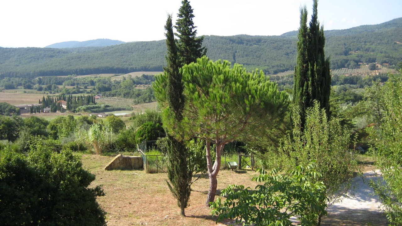Photo of Others in Sassetta
