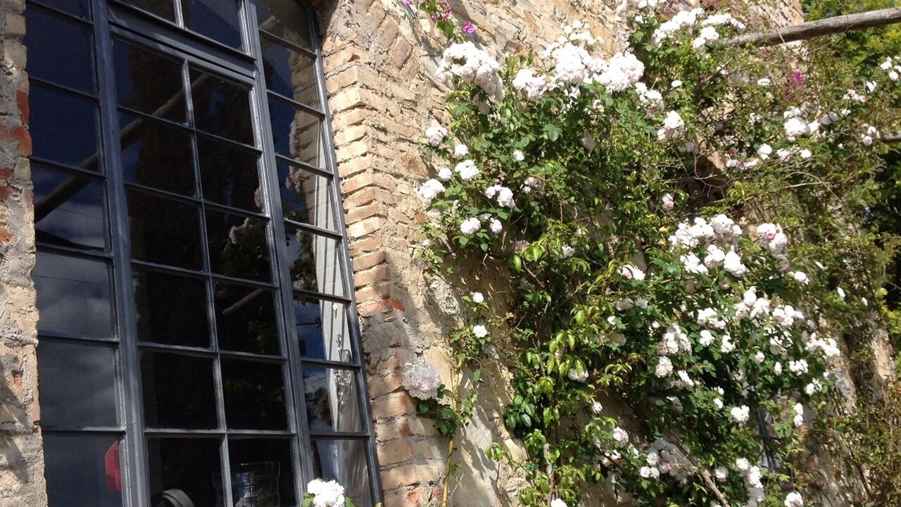 Photo of Outdoor in Sassetta