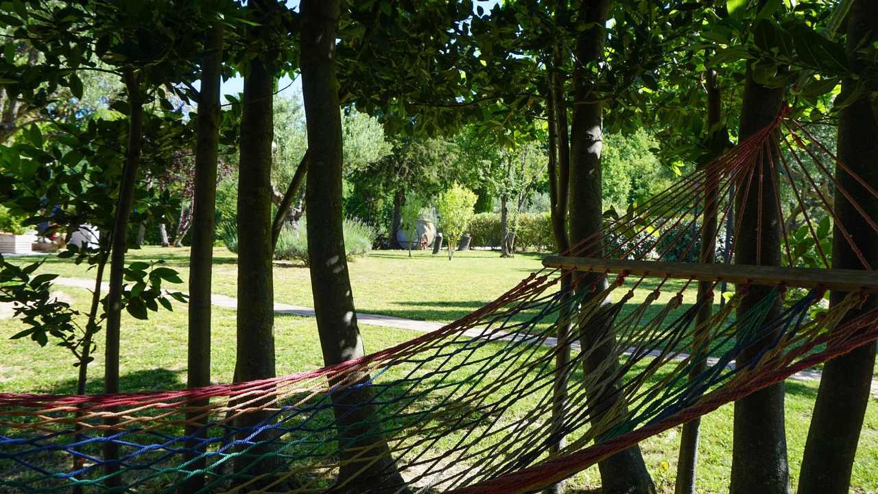 Photo of Outdoor in Tolentino