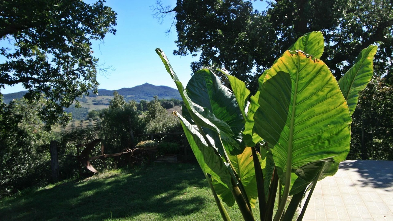 Photo of Outdoor in Pomarance