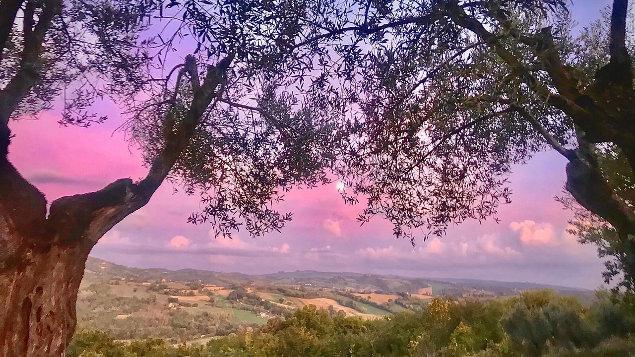 Photo of Outdoor in Montone