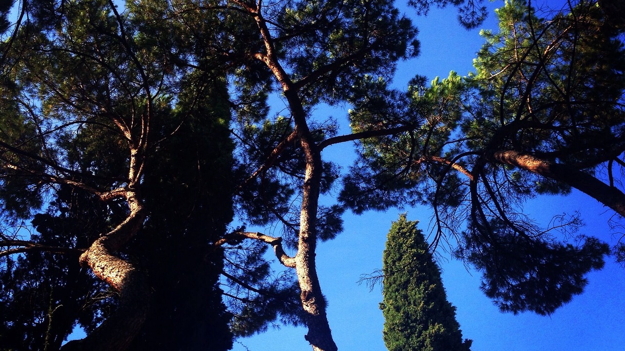 Photo of Outdoor in Montone