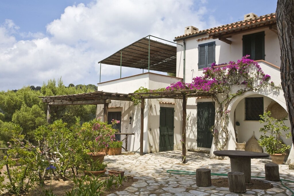 Photo of Buildings in Scaglieri