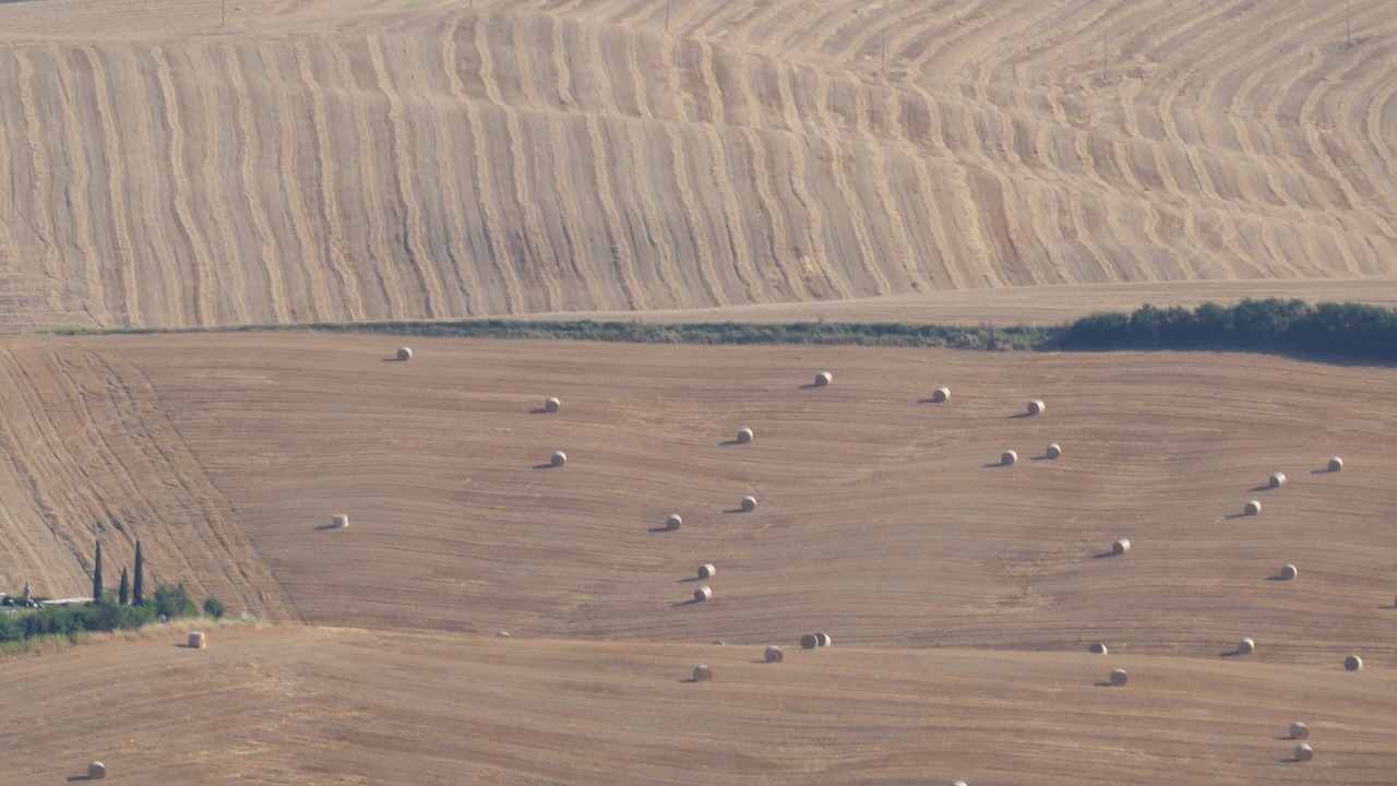 Photo of Others in Montepulciano