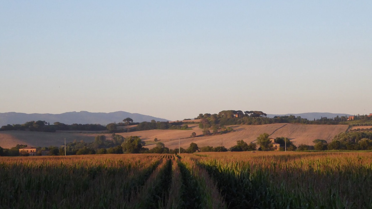 Photo of Outdoor in Montepulciano