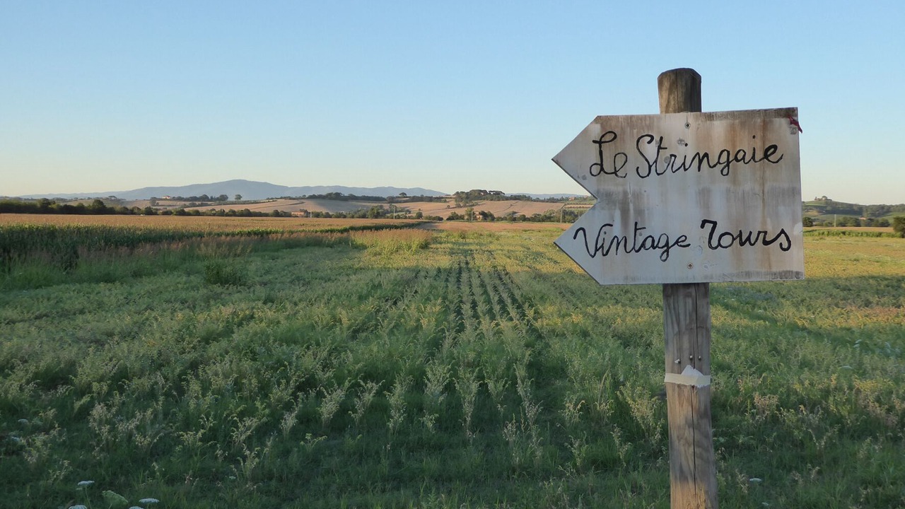 Photo of Outdoor in Montepulciano