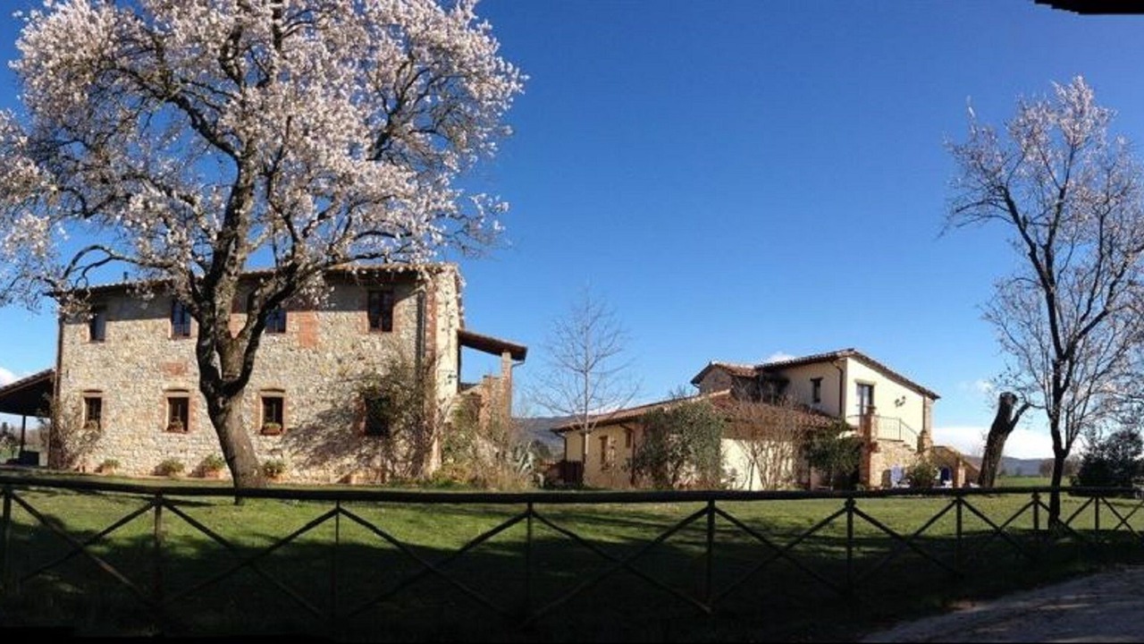 Photo of Outdoor in Montegabbione