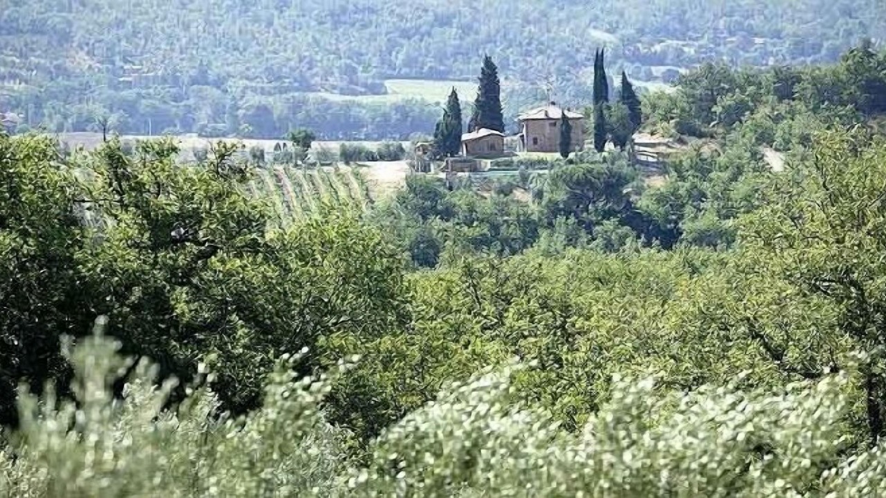 Photo of Outdoor in Bucine