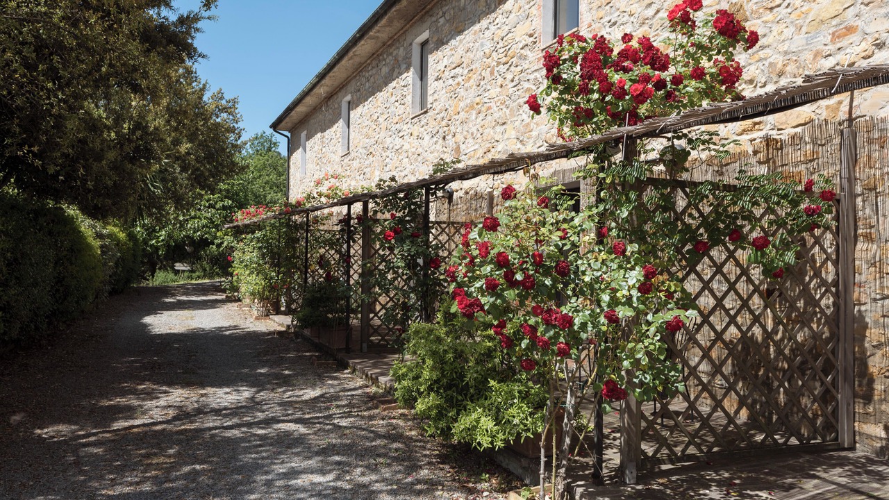Photo of Outdoor in Monterotondo Marittimo