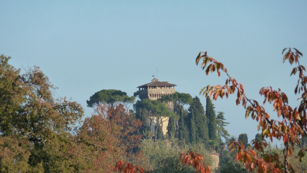 Photo of Outdoor in Cetona