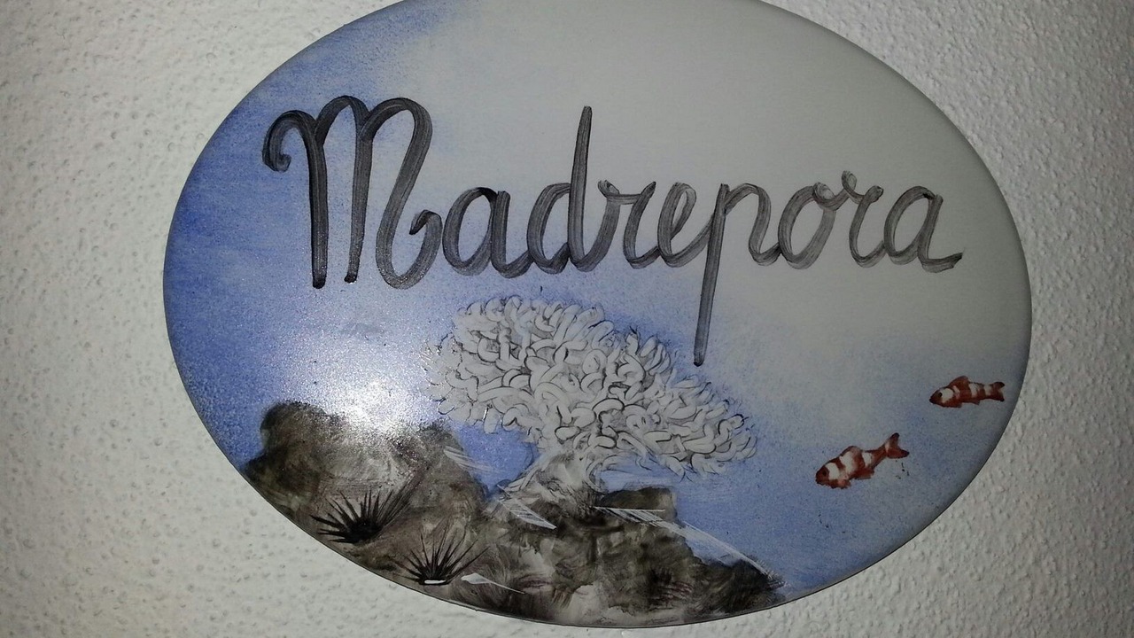 Photo of Others in Deiva Marina