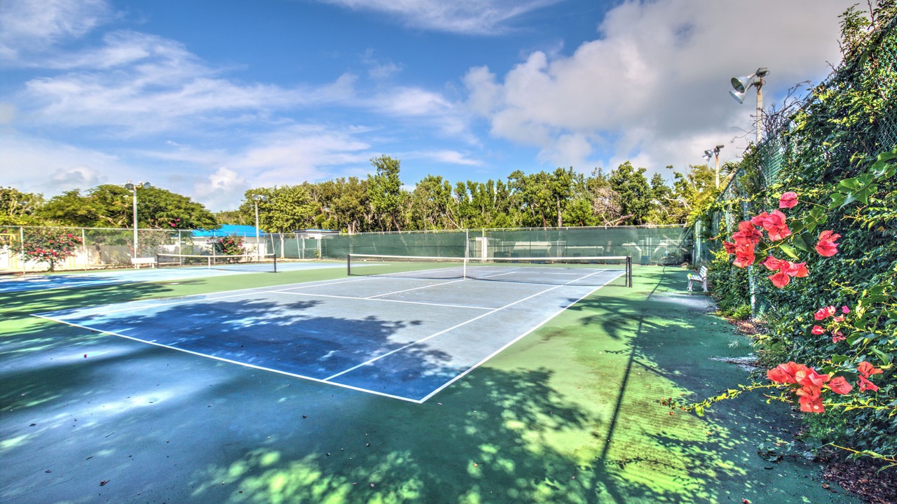 Photo of Others in Tavernier