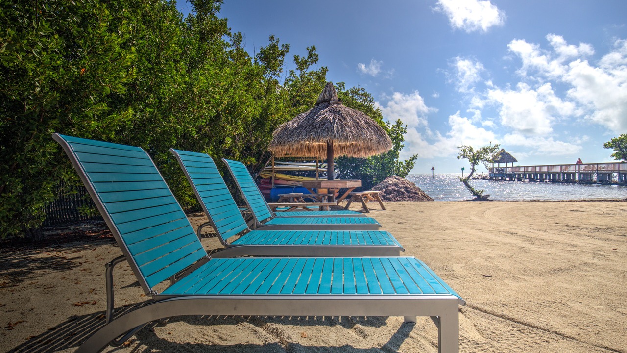 Photo of Others in Tavernier