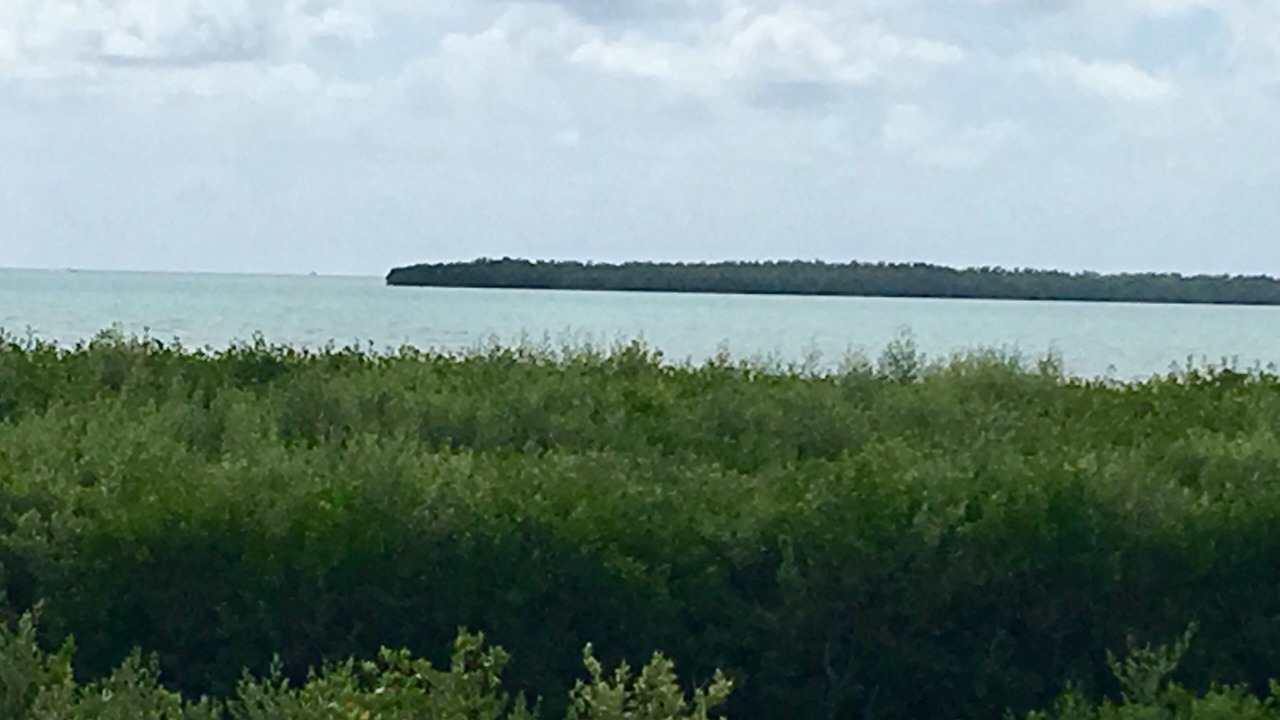 Photo of Patio Balcony in Tavernier
