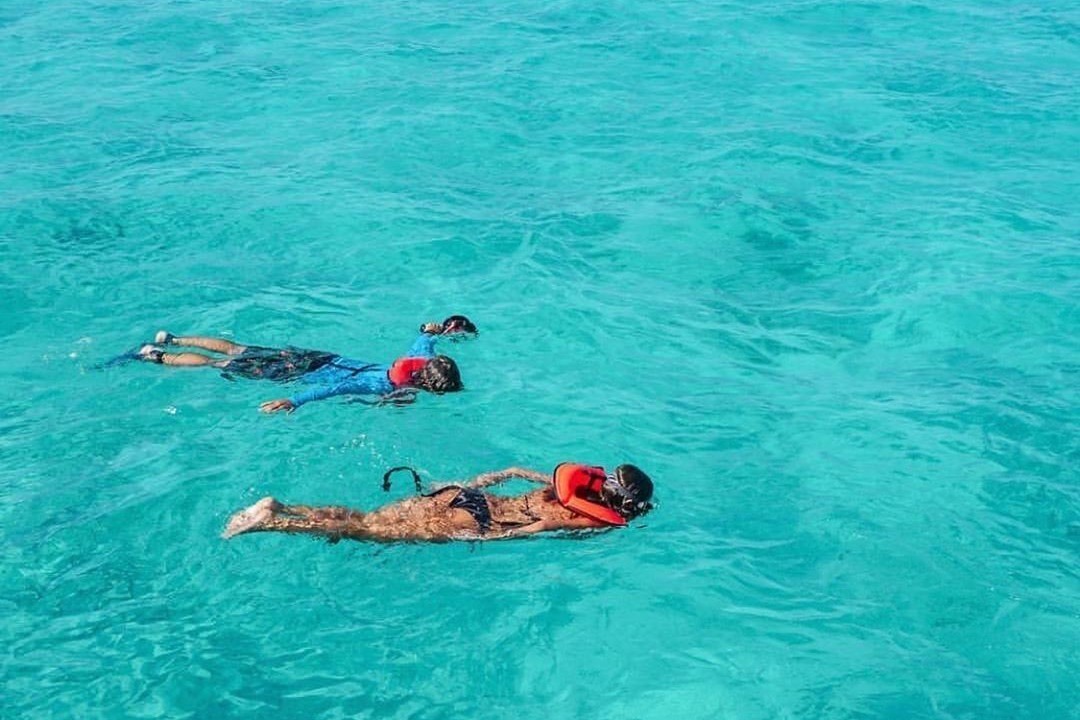 Photo of Others in Tavernier