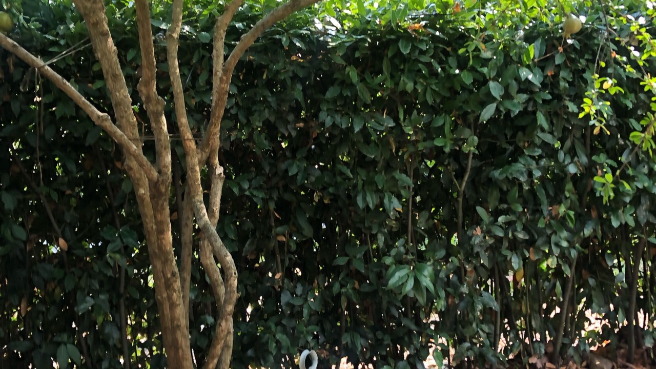 Photo of Outdoor in Monteverdi Marittimo