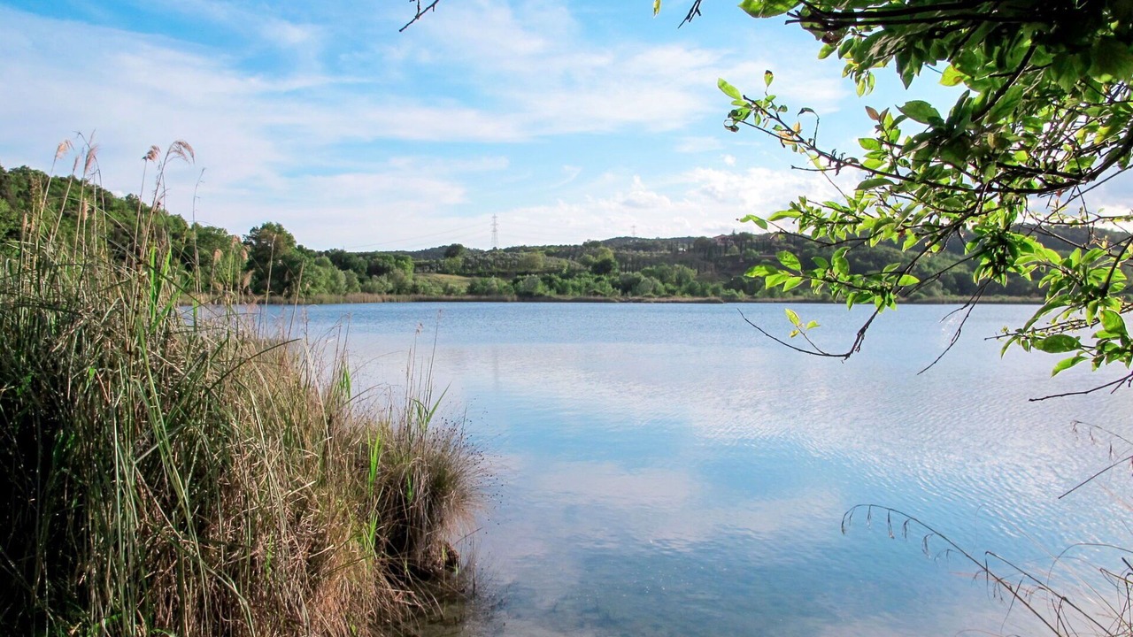 Photo of Outdoor in Massa Marittima